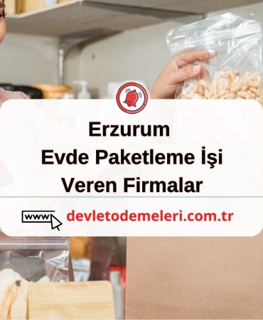 Erzurum Evde Paketleme İşi