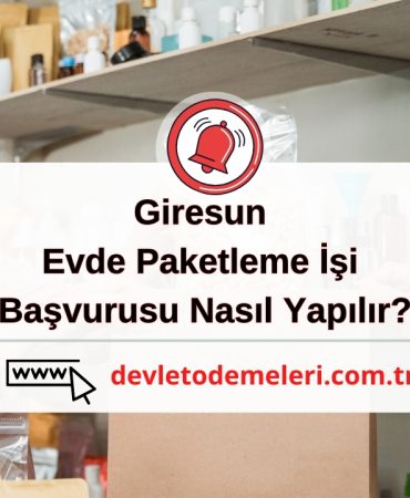 Giresun Evde Paketleme İşi Başvurusu Nasıl Yapılır?