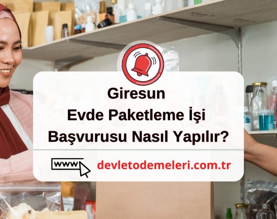 Giresun Evde Paketleme İşi Başvurusu Nasıl Yapılır?